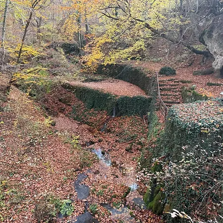 With 2 Bedrooms - Magic Woods Διαμέρισμα