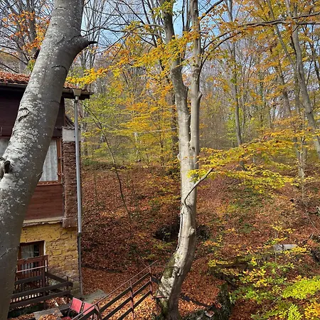 Apartmán With 2 Bedrooms - Magic Woods