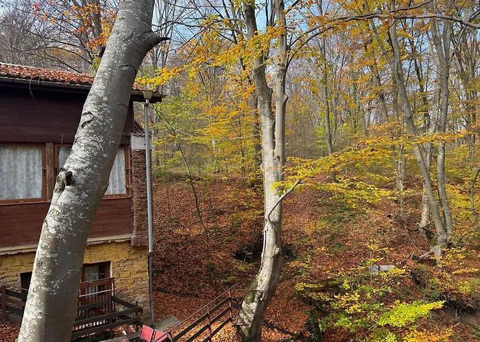 Διαμέρισμα With 2 Bedrooms - Magic Woods