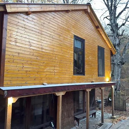 With 2 Bedrooms - Magic Woods