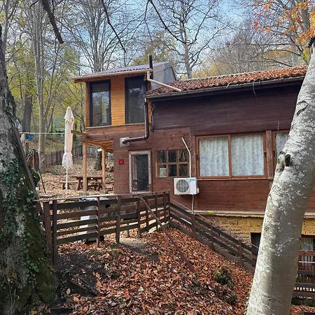 Apartamento With 2 Bedrooms - Magic Woods Zaychari