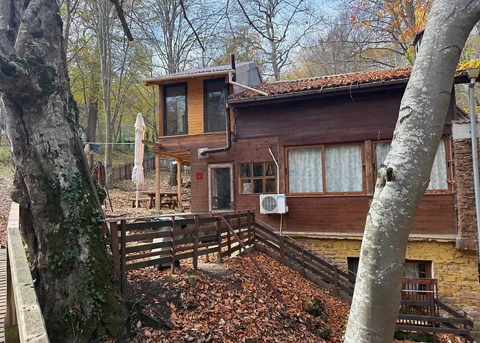 Apartamento With 2 Bedrooms - Magic Woods Zaychari